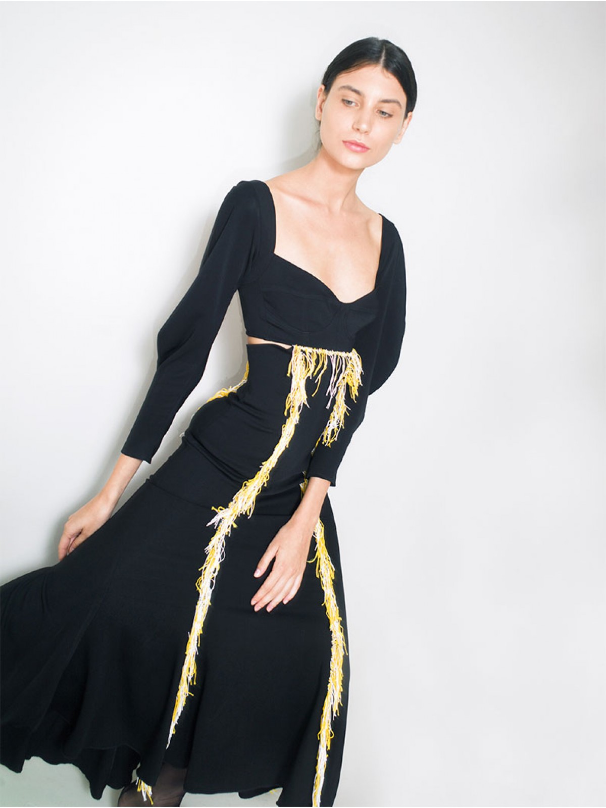 Embroidered Dress